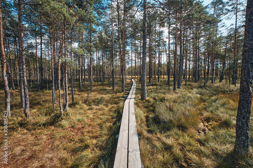 The Landscape around Viru bog, Lahemaa National Park, Estonia