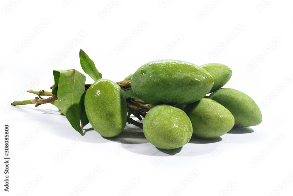 Thai mango is released every season isolated on white background.(with Clipping Path). Thai mango is released every season isolated on white background.(with Clipping Path).