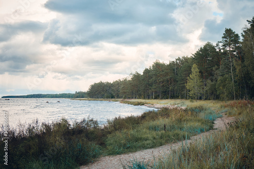 Baltic Sea and Coastline  Estonia