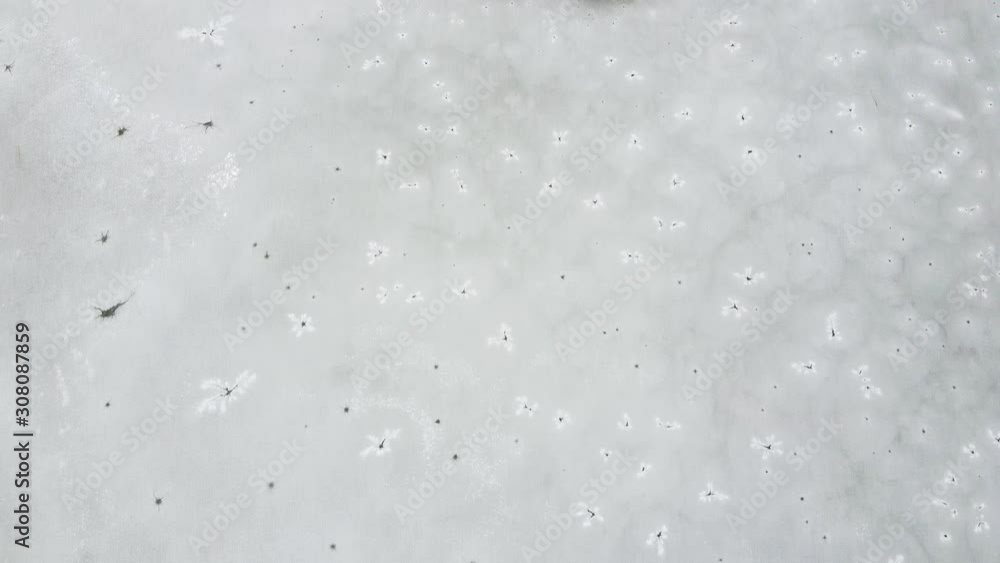 Frozen lake winter aero drone video Frozen lake winter aero drone video