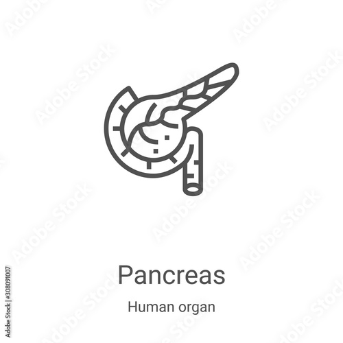 pancreas icon vector from human organ collection. Thin line pancreas outline icon vector illustration. Linear symbol for use on web and mobile apps, logo, print media photo