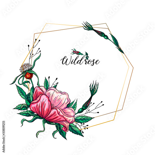 Vector set of delicate pink wild rose flowers, floral arrangements