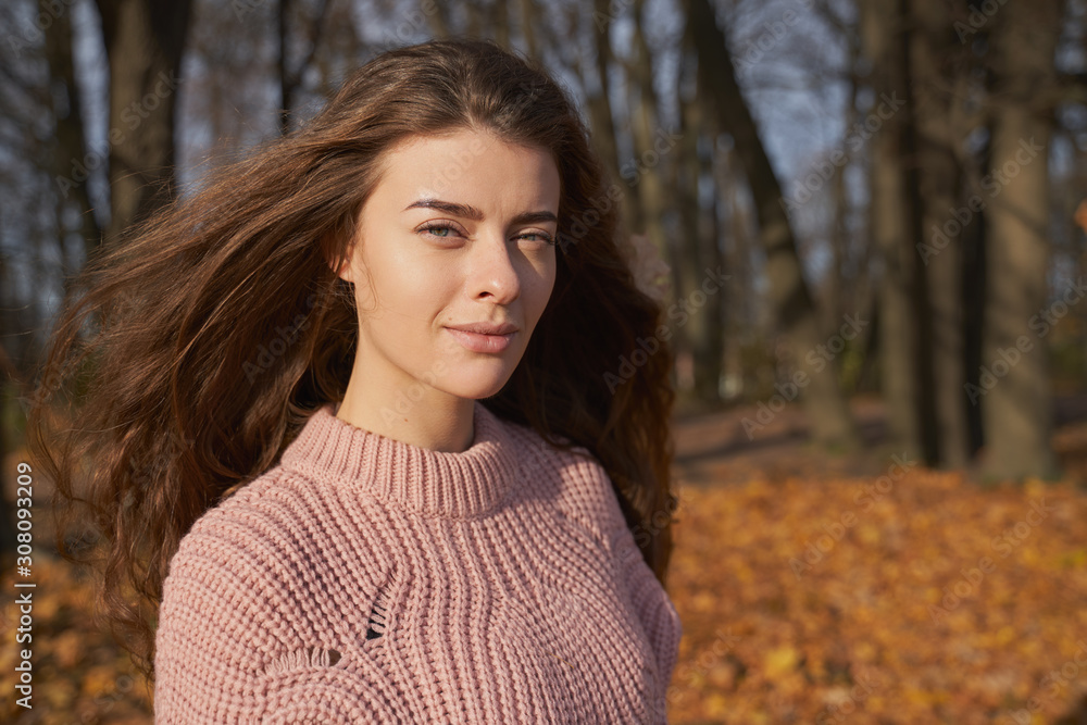 Warm autumn. Portrait of young woman with brown hair, green eyes wearing pink sweater walking in colorful forest or Park. Girl looking into camera has natural beauty maple leaves in hair develops wind Warm autumn. Portrait of young woman with brown hair, green eyes wearing pink sweater walking in colorful forest or Park. Girl looking into camera has natural beauty maple leaves in hair develops wind