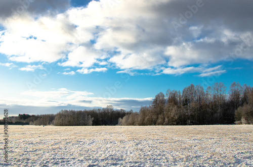 A field in winter against a forest background in Estonia