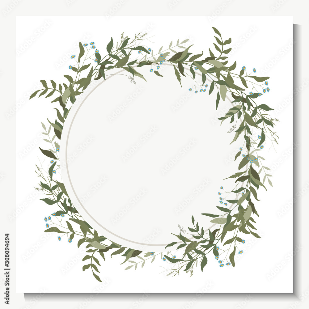 Hand drawn green eucalyptus, fern, chamomile, isolated template vector illustration.