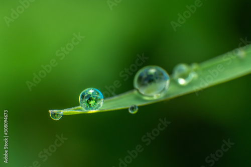 droplets on grass 