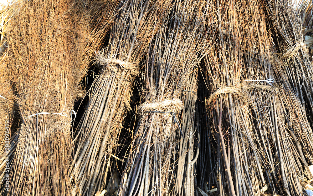 Fototapeta premium dry brown branch bundle pile together background view