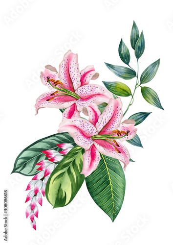 Watercolor hand drawn pink lilly illustration. Can be used as print, postcard, packaging design, element design, template, textile design,sticker, tattoo and so on.