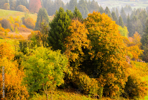 Fototapeta Naklejka Na Ścianę i Meble -  autumn in Asiago three