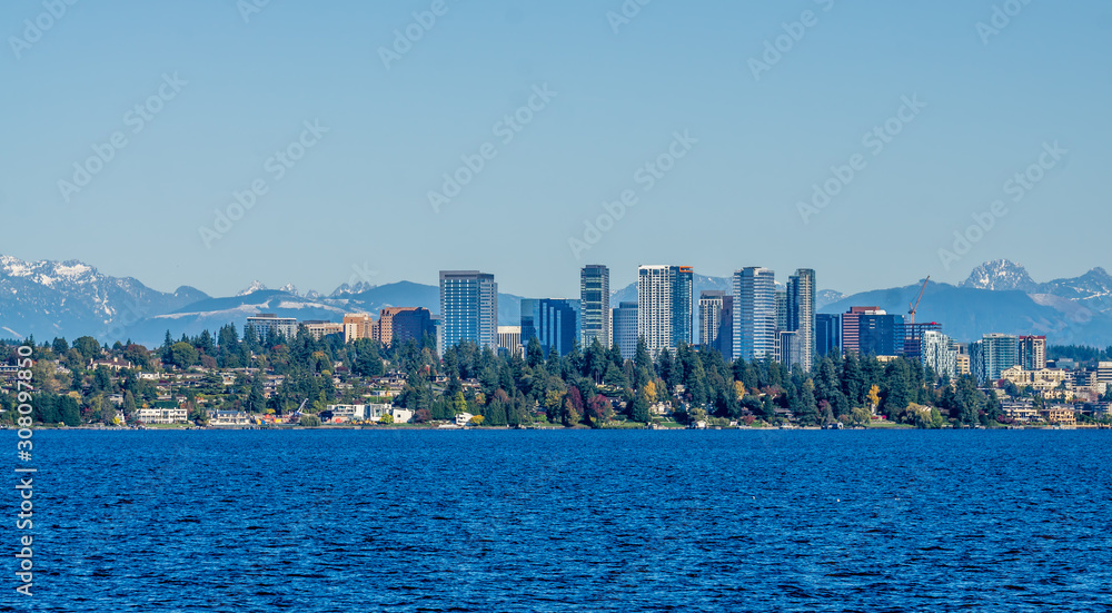 Obraz premium Bellevue Washington Skyline 2
