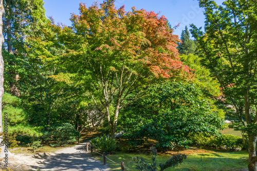 Seattle Garden In Autumn 4