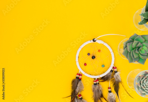 Dreamcatcher with brown feathers on a yellow background. Green succulents flowers are pocked. There is a place for text. Ethnostyle. photo