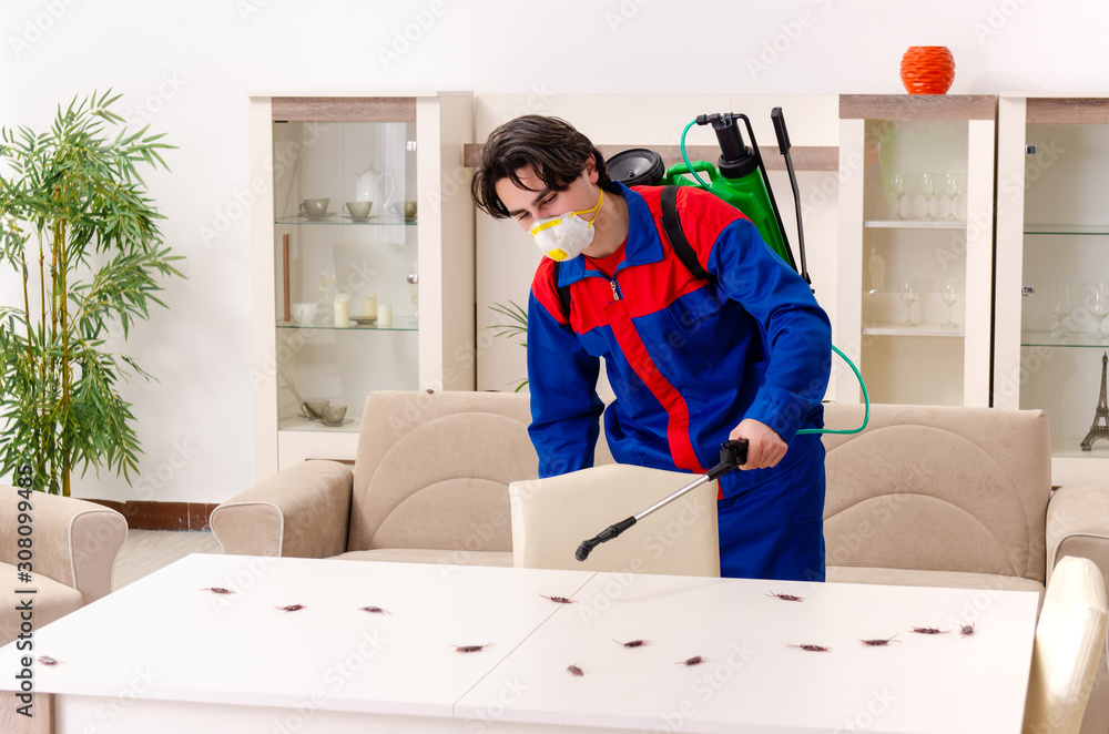 Obraz premium Young contractor doing pest control at home