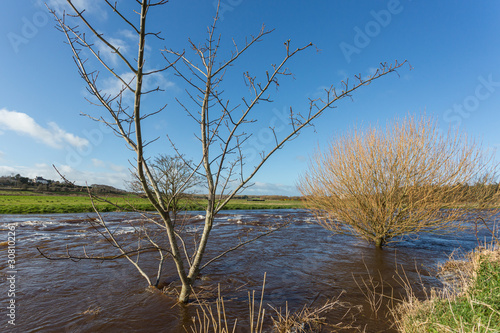 River Bush in Flood