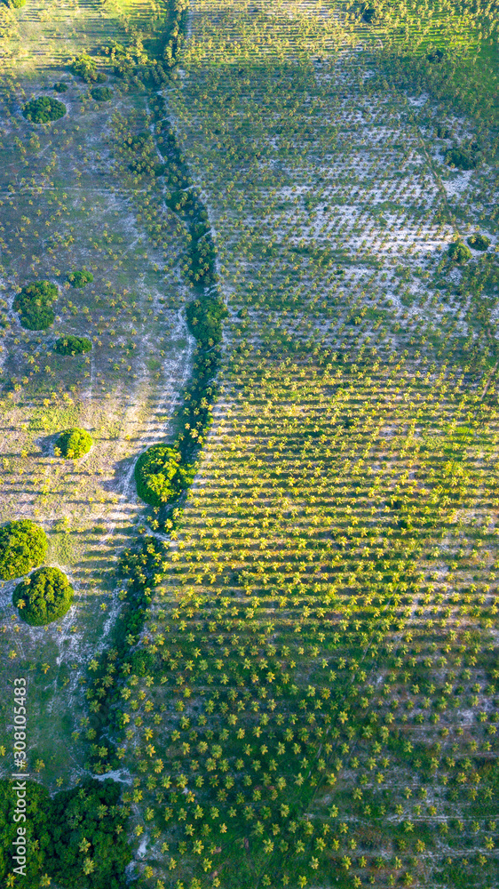 Ocean Water Costal Corel Reef Boat Clouds Landscape Palm Threes Brazil ...