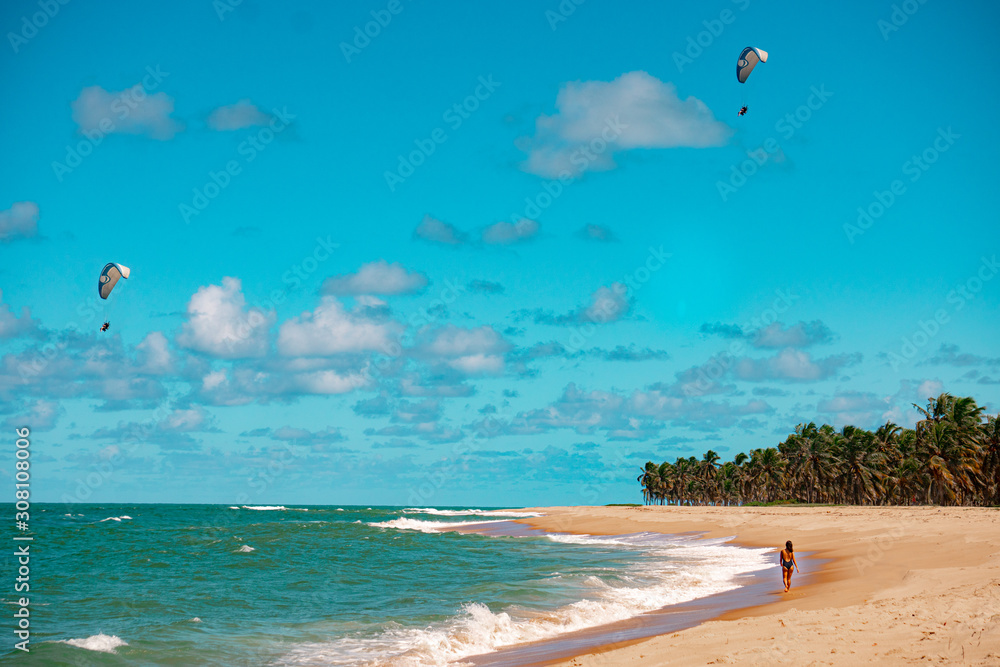 Praia Natureza Drone Coqueiros Litoral Maceió Alagoas Brasil