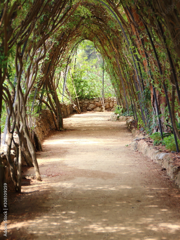 Tranquil Path under Pergola with Braid Branches Tranquil Path under Pergola with Braid Branches