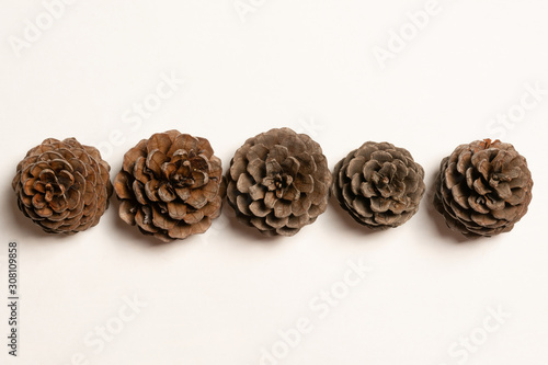Pine cones in line order on white background 