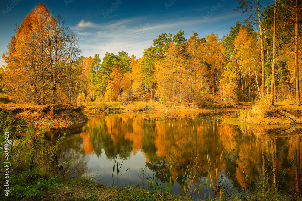 Obraz premium lake in autumn