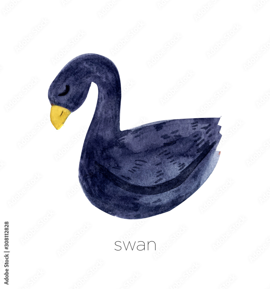Watercolor cute black swan, isolated. Cute cartoon character. For invitation card and romantic design, pattern, logo, textile for kids, baby. Stock Illustration | Adobe Stock Watercolor cute black swan, isolated. Cute cartoon character. For invitation card and romantic design, pattern, logo, textile for kids, baby. Stock Illustration | Adobe Stock
