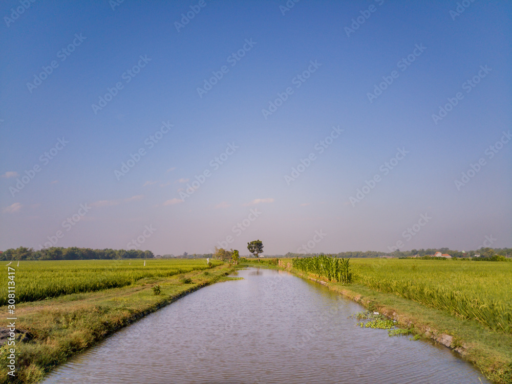 The river is surrounded by rice fields under a beautiful sky