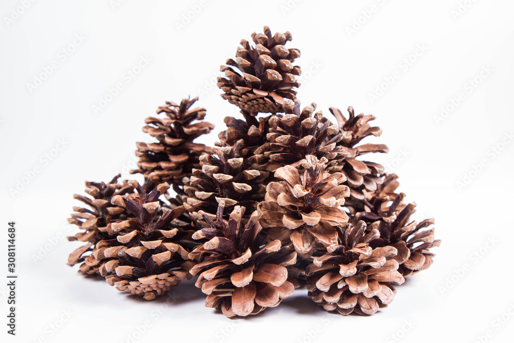 Pile of pine cones on a white background Pile of pine cones on a white background