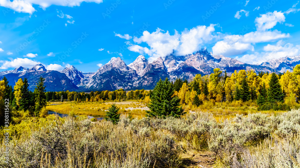 The Grand Tetons and Fall Color Trees viewed from Schwabacher Landing in Grand Tetons National Park, Wyoming, United States