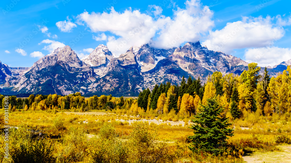 The Grand Tetons and Fall Color Trees viewed from Schwabacher Landing in Grand Tetons National Park, Wyoming, United States The Grand Tetons and Fall Color Trees viewed from Schwabacher Landing in Grand Tetons National Park, Wyoming, United States