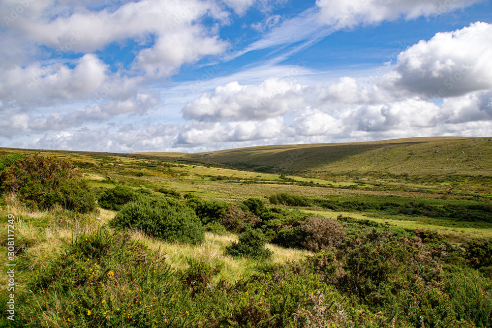 Landscape of Dartmoor National Park in late summer