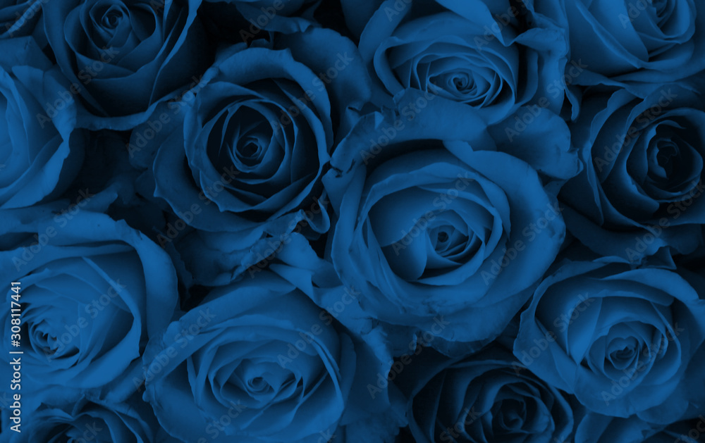 Floral natural background, roses pattern for backdrop Floral natural background, roses pattern for backdrop