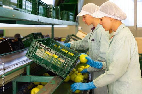 serious female employees in uniform sorting fresh apples on producing grading line
