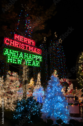 Photography Christmas Tree light decoration