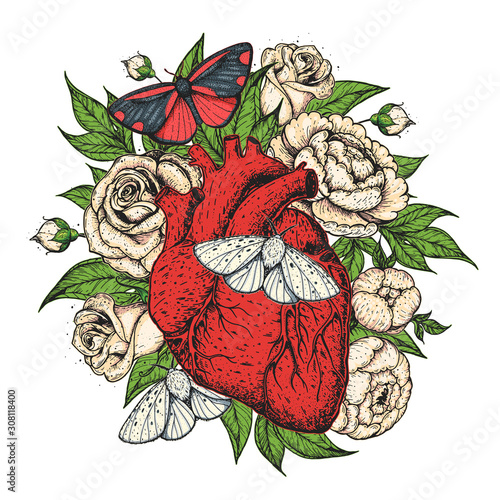Heart, butterfly and flower hand drawn. Vintage vector illustration. Anatomical floral heart. Isolated colorful illustration. Vintage print.