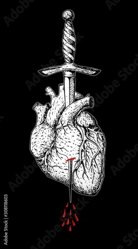 The human heart is pierced with a dagger. Hand drawn vector illustration. Realistic sketch. Engraved style. Tattoo print.
