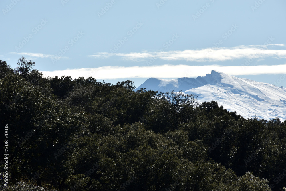 Sierra Nevada with snow view from the natural park of the Sierra de Huétor in Granada with hills of pine forests in front and an intense blue sky with beautiful clouds in the background