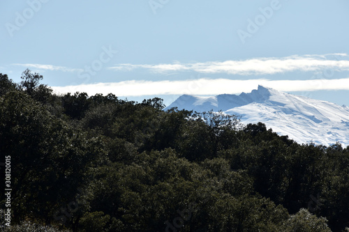 Sierra Nevada with snow view from the natural park of the Sierra de Hu  tor in Granada with hills of pine forests in front and an intense blue sky with beautiful clouds in the background