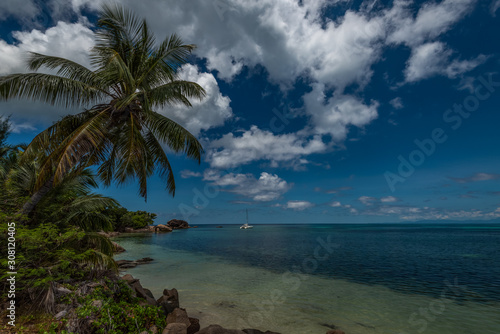 Fototapeta Naklejka Na Ścianę i Meble -  Beautiful beach with coconut trees. Praslin, Seychelles