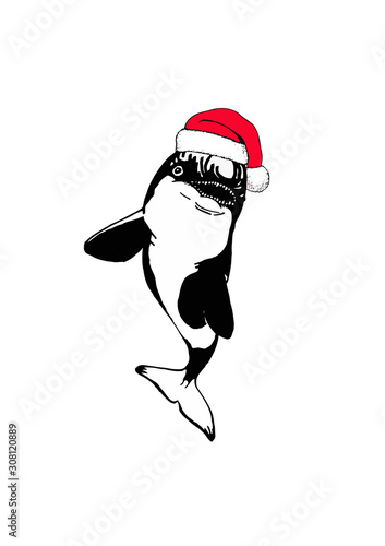 Graphical killer whale in Santa Claus hat isolated on white background,new year vector illustration