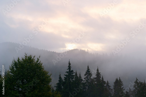 Mountains sunrise, fog, Bukovel, Carpathians. © Oleksii