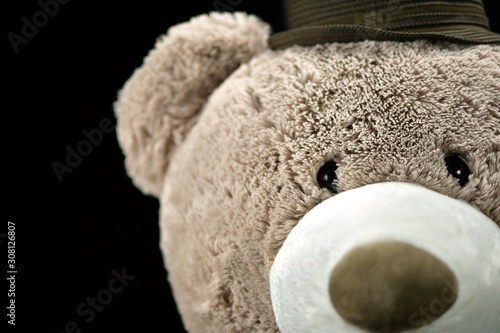 Stuffed Toy Teddy Bear Closeup shot