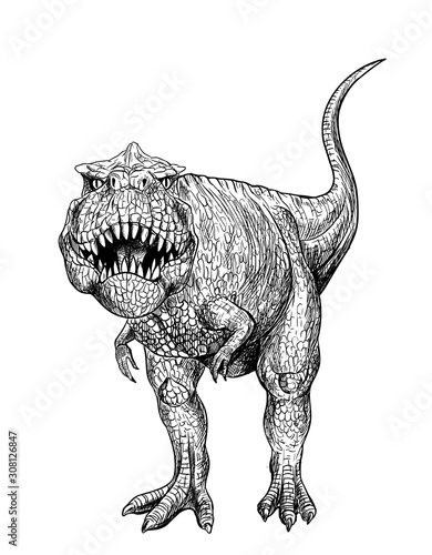 T-rex, graphic black ink art, hand drawn 