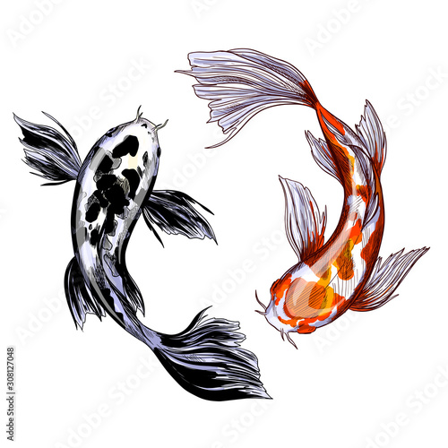 Two koi carps, with red and black spots