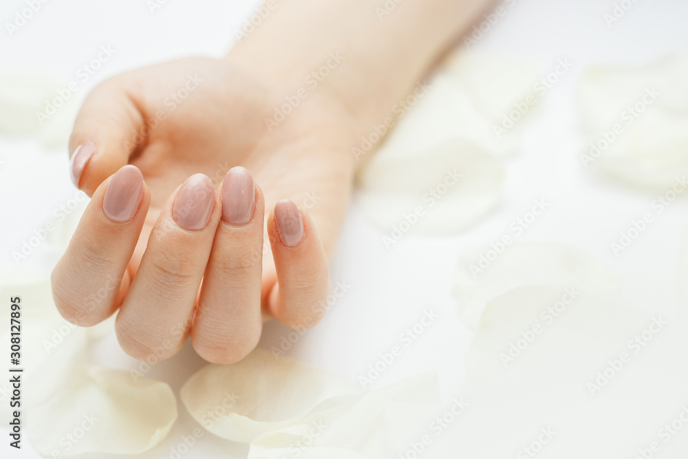 Beautiful hands with manicure. Nail care concept. Beautiful hands with manicure. Nail care concept.