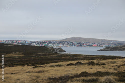gypsy Cove auf den Falklandinseln - Antarktis Reise