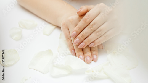 Beautiful hands with manicure. Nail care concept.