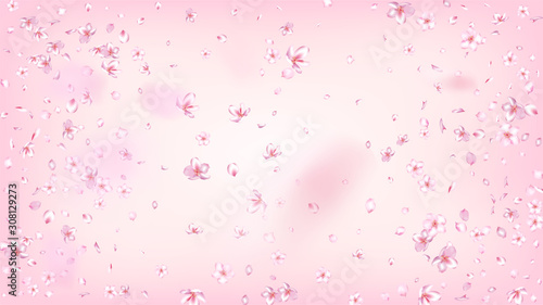 Nice Sakura Blossom Isolated Vector. Magic Showering 3d Petals Wedding Border. Japanese Blurred Flowers Wallpaper. Valentine, Mother's Day Magic Nice Sakura Blossom Isolated on Rose