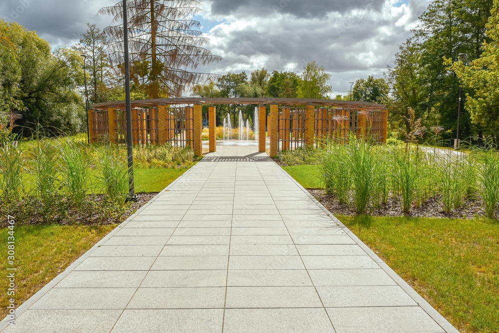 Fototapeta premium The avenue of city park at sunny day.