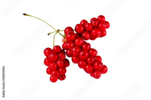 Schisandra chinensis or five-flavor berry. Fresh red ripe berry isolated on white background. selective focus photo