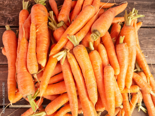 bunch of fresh carrots at the market