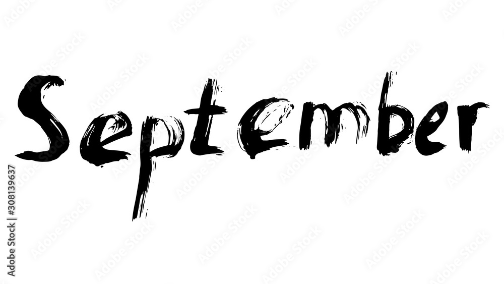 The names of the months drawn with a brush. Black brush handmade calendar. EPS vector illustration. The names of the months drawn with a brush. Black brush handmade calendar. EPS vector illustration.